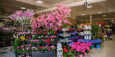 bay area wholesale flowers hours